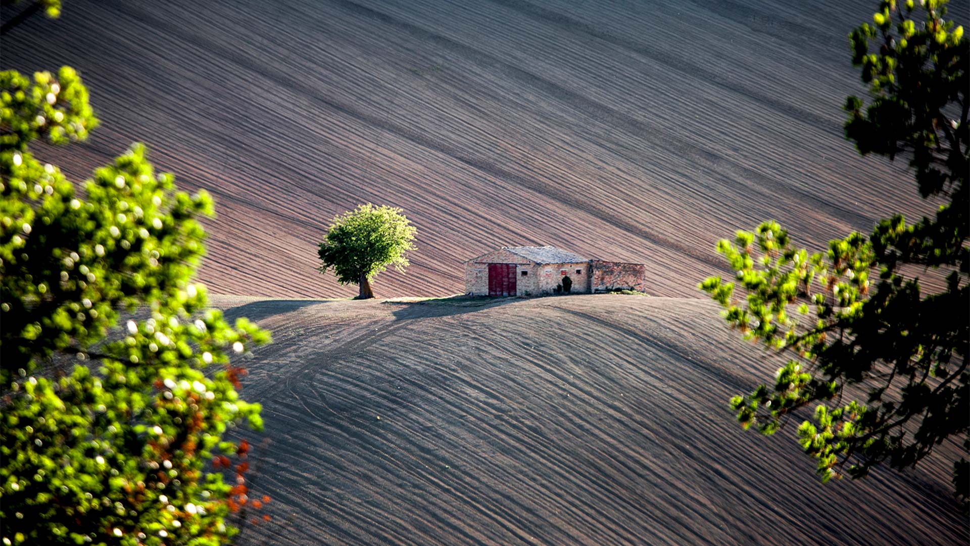 Fior di Maiella srl - La Maiella (Chieti)